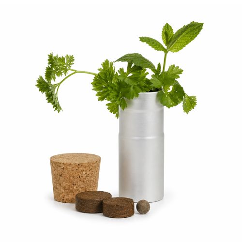 Schreibtischgärtchen mit Kräutern - Bild 2